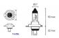 Preview: Lampe 12V PX43T HS1 Halogen 35/35 Watt