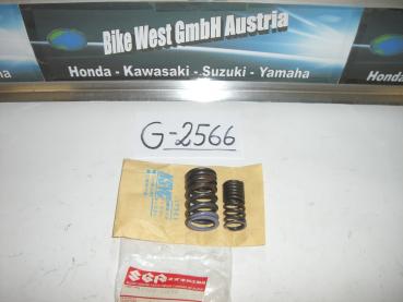 Suzuki GSX-R600, Ventilfeder Set, Spring Set, Valve