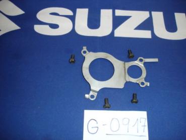 Suzuki Bandit GSF 650 S-ABS K6, Ausgangswellenlager-Halteblech mit Schrauben