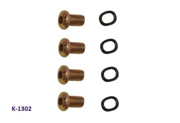 Schrauben für Bremsscheibe M.go vorne