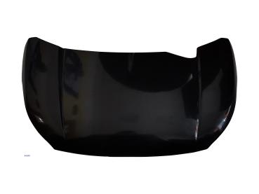 Motorhaube Ligier JS 50 2/3