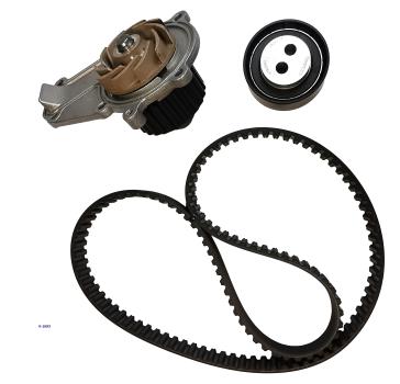 Wasserpumpen-Kit Lombardini LDW 442/492