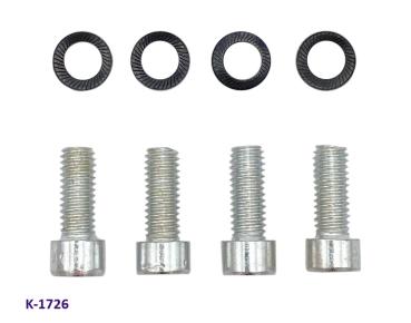 Schraubensatz M6x16 Inbus für Bremsscheibe Microcar M.Go hinten (4 Stk)