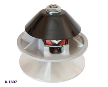 Variomatik Motorseite Microcar, Ligier