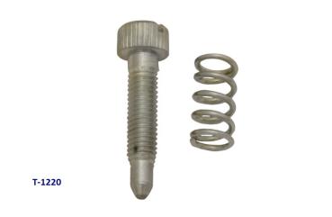 Leerlaufeinstellschraubenkit für PHBG 19, 19,5 + 21, Dellorto