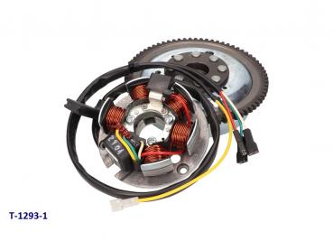 Zündplatte + Schwungscheibe / Lichtmaschine / Zündung Stator und Rotor  Moped Minarelli AM6 mit Elektrostarter ab 1999