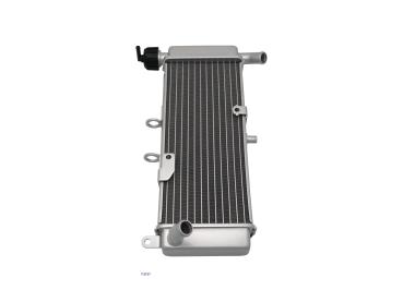 Preview: Kühler Aprilia RS 50/125/Tuono 125 2017, Derbi GPR 50 09-2013
