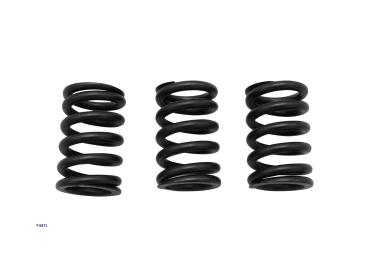 Ventilfedernkit für Vespa Primavera/Sprint/ 50 E5 3V (3 Stk.) verstärkt