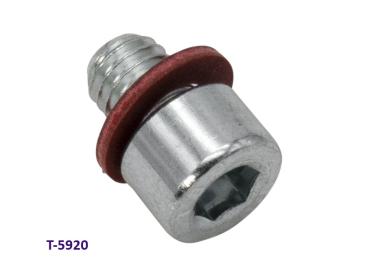 Schraube 8x10 Ölablass-Getriebe AM6