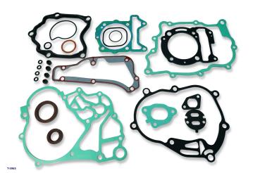 Dichtsatz Vespa GTS 300 / HPE 2018-2020 Euro 4 MA36M