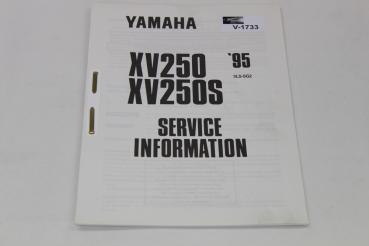 Yamaha XV250/XV250S, 3LS, 95, Service Information, Stand 06/94
