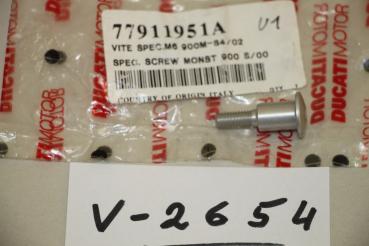 Preview: Ducati Monster 900/1000/S4/S4RS, Spezial M6 Schraube, 77911951A