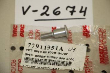 Preview: Ducati Monster 900/1000/S4/S4RS, Spezial M6 Schraube, 77911951A