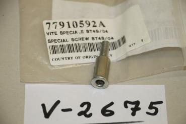 Preview: Ducati Monster ST4S/04, SPECIAL SCREW, 77910592A