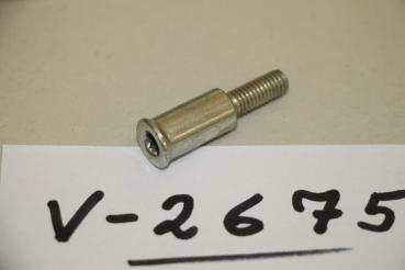 Ducati Monster ST4S/04, SPECIAL SCREW, 77910592A