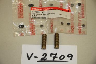 Preview: Ducati 748B/M 600-1000/SS, 2x Spezialschraube, 77910991A