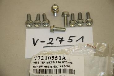Preview: Ducati 748-998/ST2-4/Monster, 9x SCREW TEF M5x16, 77210551A