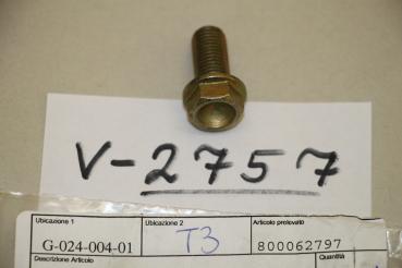 Preview: Cagiva CANYON 500/600, 1x SCREW TE (M10x1.25-CH14) 800062797