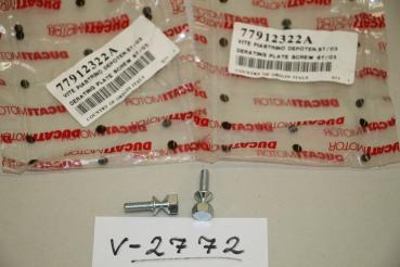 Preview: Ducati ST/03, 2x DERATING PLATE SCREW, 77912322A