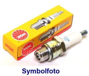 Zündkerze NGK DPR8EA-9  4929, spark plug,