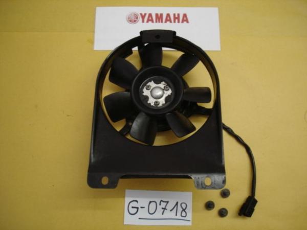 Yamaha TDM 850 3VD 4CN, Bj. 91-95, Lüftermotor mit Trageblech und Schrauben,