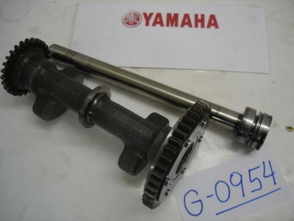Yamaha TDM 850 3VD 4CN, Bj. 91-95, Ausgleicherwelle vorne