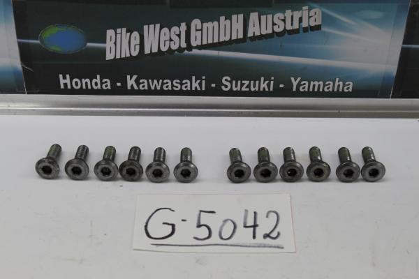 Honda VF 500F2, PC12, Bremsscheibenschrauben vorne