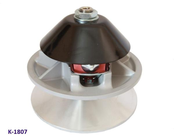 Variomatik Motorseite Microcar, Ligier