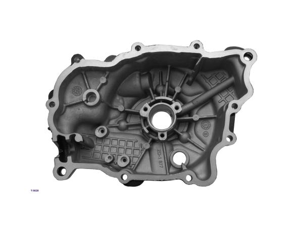 Wasserpumpengehäuse Scooter 250-300 Piaggio schwarz glänzend