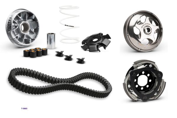 Antriebskit Piaggio, Vespa GTS 310